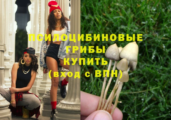 герыч Бородино